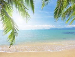  Tranh Dán Tường Cảnh Biển Đẹp Tiến Phát Cbtp21