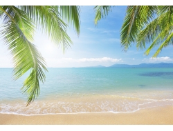 Tranh Dán Tường Cảnh Biển Đẹp Tiến Phát Cbtp21 Tranh Dán Tường Cảnh Biển Đẹp Tiến Phát Cbtp21