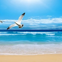 Tranh Dán Tường Cảnh Biển Đẹp Tiến Phát Cbtp22 Tranh Dán Tường Cảnh Biển Đẹp Tiến Phát Cbtp22