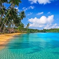 Tranh Dán Tường Cảnh Biển Đẹp Tiến Phát Cbtp23 Tranh Dán Tường Cảnh Biển Đẹp Tiến Phát Cbtp23