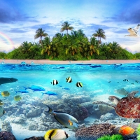 Tranh Dán Tường Cảnh Biển Đẹp Tiến Phát Cbtp24 Tranh Dán Tường Cảnh Biển Đẹp Tiến Phát Cbtp24