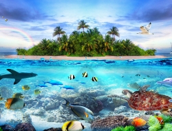  Tranh Dán Tường Cảnh Biển Đẹp Tiến Phát Cbtp24