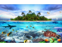 Tranh Dán Tường Cảnh Biển Đẹp Tiến Phát Cbtp24 Tranh Dán Tường Cảnh Biển Đẹp Tiến Phát Cbtp24