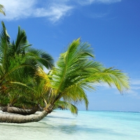  Tranh Dán Tường Cảnh Biển Đẹp Tiến Phát Cbtp26