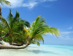  Tranh Dán Tường Cảnh Biển Đẹp Tiến Phát Cbtp26