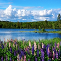 Tranh Dán Tường Cảnh Biển Đẹp Tiến Phát Cbtp28 Tranh Dán Tường Cảnh Biển Đẹp Tiến Phát Cbtp28