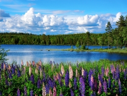  Tranh Dán Tường Cảnh Biển Đẹp Tiến Phát Cbtp28