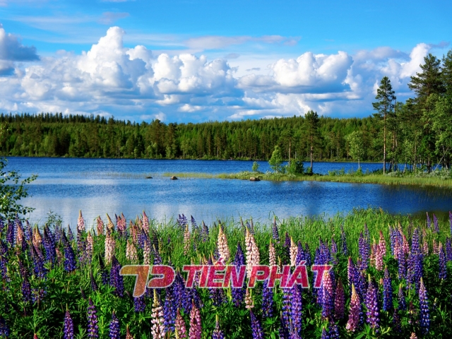 Tranh Dán Tường Cảnh Biển Đẹp Tiến Phát Cbtp28 Tranh Dán Tường Cảnh Biển Đẹp Tiến Phát Cbtp28