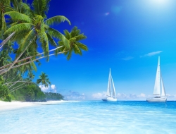  Tranh Dán Tường Cảnh Biển Đẹp Tiến Phát Cbtp35