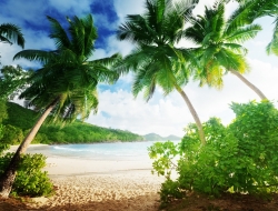  Tranh Dán Tường Cảnh Biển Đẹp Tiến Phát Cbtp37