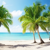  Tranh Dán Tường Cảnh Biển Đẹp Tiến Phát Cbtp39