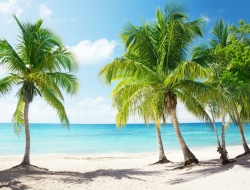  Tranh Dán Tường Cảnh Biển Đẹp Tiến Phát Cbtp39