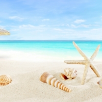  Tranh Dán Tường Cảnh Biển Đẹp Tiến Phát Cbtp44