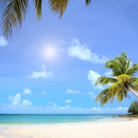 Tranh Dán Tường Cảnh Biển Đẹp Tiến Phát Cbtp45 Tranh Dán Tường Cảnh Biển Đẹp Tiến Phát Cbtp45