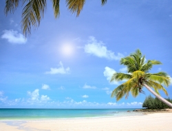  Tranh Dán Tường Cảnh Biển Đẹp Tiến Phát Cbtp45