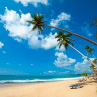  Tranh Dán Tường Cảnh Biển Đẹp Tiến Phát Cbtp48