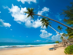  Tranh Dán Tường Cảnh Biển Đẹp Tiến Phát Cbtp48