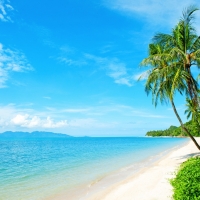 Tranh Dán Tường Cảnh Biển Đẹp Tiến Phát Cbtp51 Tranh Dán Tường Cảnh Biển Đẹp Tiến Phát Cbtp51