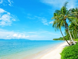  Tranh Dán Tường Cảnh Biển Đẹp Tiến Phát Cbtp51