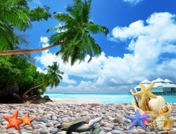  Tranh Dán Tường Cảnh Biển Đẹp Tiến Phát Cbtp59