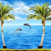  Tranh Dán Tường Cảnh Biển Đẹp Tiến Phát Cbtp62