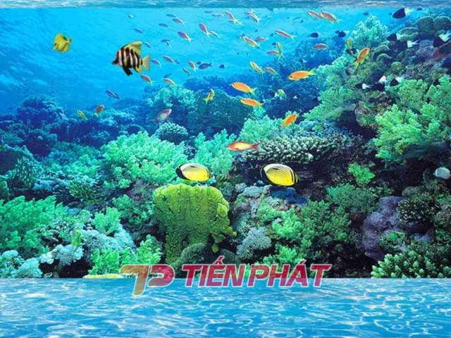 Tranh Dán Tường Cảnh Biển- Đại Dương CB05 Tranh Dán Tường Cảnh Biển- Đại Dương CB05