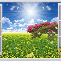 Tranh Dán Tường Cửa Sổ Tiến Phát Cstp105 Tranh Dán Tường Cửa Sổ Tiến Phát Cstp105