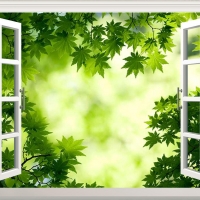 Tranh Dán Tường Cửa Sổ 3D CS37 Tranh Dán Tường Cửa Sổ 3D CS37