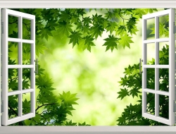 Tranh Dán Tường Cửa Sổ 3D CS37 Tranh Dán Tường Cửa Sổ 3D CS37