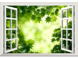 Tranh Dán Tường Cửa Sổ 3D CS37 Tranh Dán Tường Cửa Sổ 3D CS37