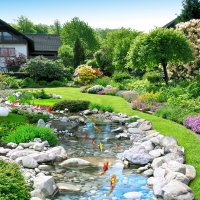 Tranh Dán Tường 3D Đồng Quê Tiến Phát Decor Dqtp05