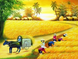 Tranh Dán Tường 3D Đồng Quê Tiến Phát Decor Dqtp07