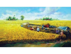 Tranh Dán Tường Đồng Quê DQ21 Tranh Dán Tường Đồng Quê DQ21