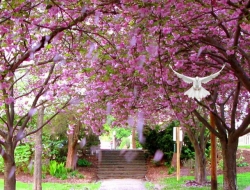  Tranh 3D Dán Tường Khổ Dọc Tiến Phát Kdtp03