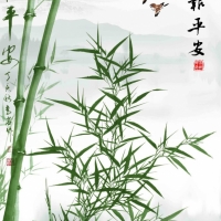  Tranh 3D Dán Tường Khổ Dọc Tiến Phát Kdtp10