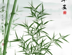  Tranh 3D Dán Tường Khổ Dọc Tiến Phát Kdtp10