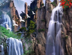  Tranh 3D Dán Tường Khổ Dọc Tiến Phát Kdtp13