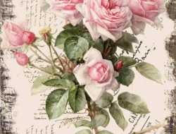  Tranh 3D Dán Tường Khổ Dọc Tiến Phát Kdtp34