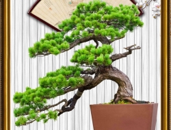  Tranh 3D Dán Tường Khổ Dọc Tiến Phát Kdtp47