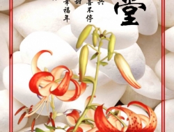  Tranh 3D Dán Tường Khổ Dọc Tiến Phát Kdtp49