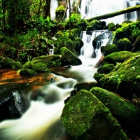 Tranh 3D Dán Tường Khổ Dọc Tiến Phát Kdtp50 Tranh 3D Dán Tường Khổ Dọc Tiến Phát Kdtp50