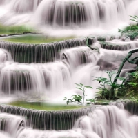 Tranh 3D Dán Tường Khổ Dọc Tiến Phát Kdtp51 Tranh 3D Dán Tường Khổ Dọc Tiến Phát Kdtp51