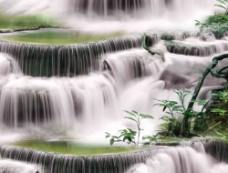  Tranh 3D Dán Tường Khổ Dọc Tiến Phát Kdtp51