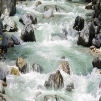  Tranh 3D Dán Tường Khổ Dọc Tiến Phát Kdtp52