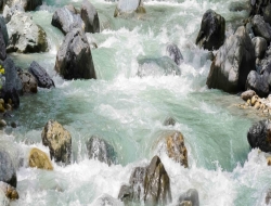  Tranh 3D Dán Tường Khổ Dọc Tiến Phát Kdtp52