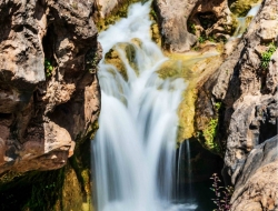  Tranh 3D Dán Tường Khổ Dọc Tiến Phát Kdtp53