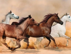 Tranh Dán Tường Mã Đáo Thành Công Tiến Phát Mdtc16 Tranh Dán Tường Mã Đáo Thành Công Tiến Phát Mdtc16