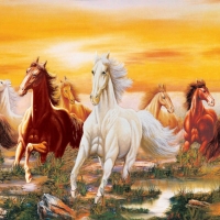 Tranh Dán Tường Mã Đáo Thành Công MD19 Tranh Dán Tường Mã Đáo Thành Công MD19