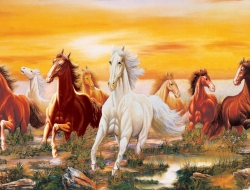 Tranh Dán Tường Mã Đáo Thành Công MD19 Tranh Dán Tường Mã Đáo Thành Công MD19