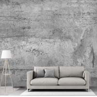  Tranh Dán Tường Nghệ Thuật- Hiện Đại NT100